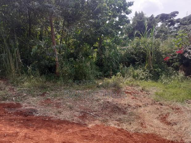Eighth Acre Plot on Sale in Nguriunditu Nderi Sigona Kikuyu