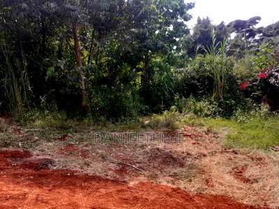 Eighth Acre Plot on Sale in Nguriunditu Nderi Sigona Kikuyu - Image 6