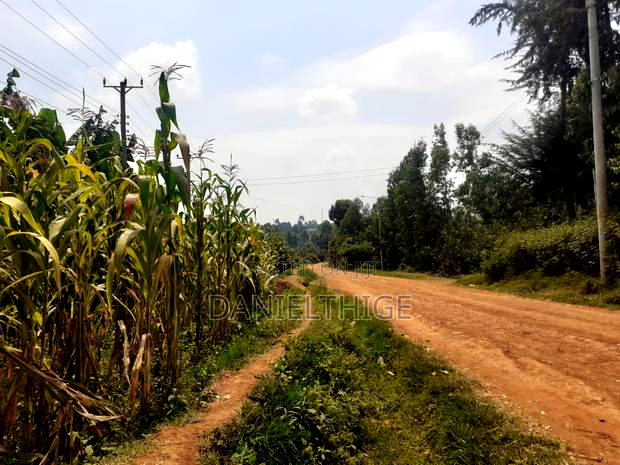 Eighth Acre Plot on Sale in Nguriunditu Nderi Sigona Kikuyu