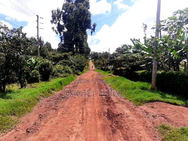 Eighth Acre Plot on Sale in Nguriunditu Nderi Sigona Kikuyu
