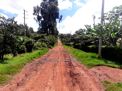 Eighth Acre Plot on Sale in Nguriunditu Nderi Sigona Kikuyu - Image 1