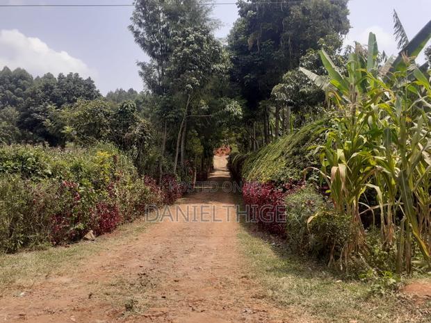 Eighth Acre Plot on Sale in Nguriunditu Nderi Sigona Kikuyu