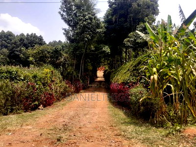 Eighth Acre Plot on Sale in Nguriunditu Nderi Sigona Kikuyu - Image 3