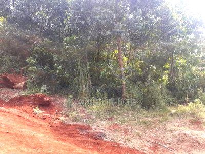 Eighth Acre Plot on Sale in Nguriunditu Nderi Sigona Kikuyu - Image 4