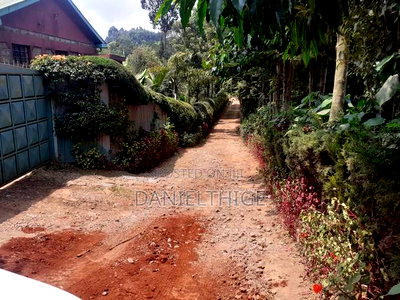 Eighth Acre Plot on Sale in Nguriunditu Nderi Sigona Kikuyu - Image 5
