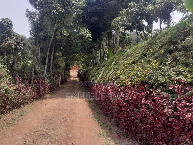 Eighth Acre Plot on Sale in Nguriunditu Nderi Sigona Kikuyu