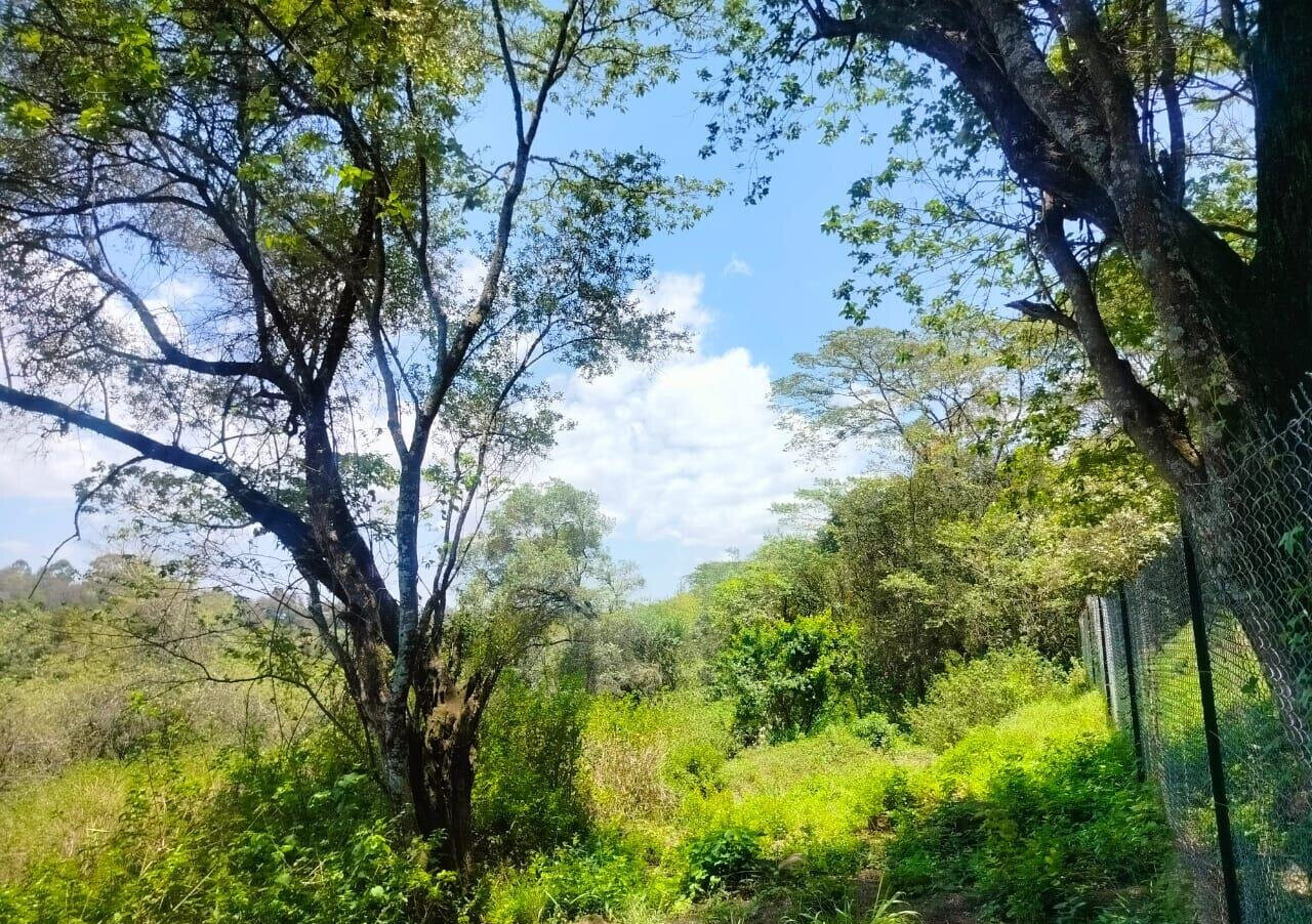 Half Acre Plot in Karen at KSh 35M