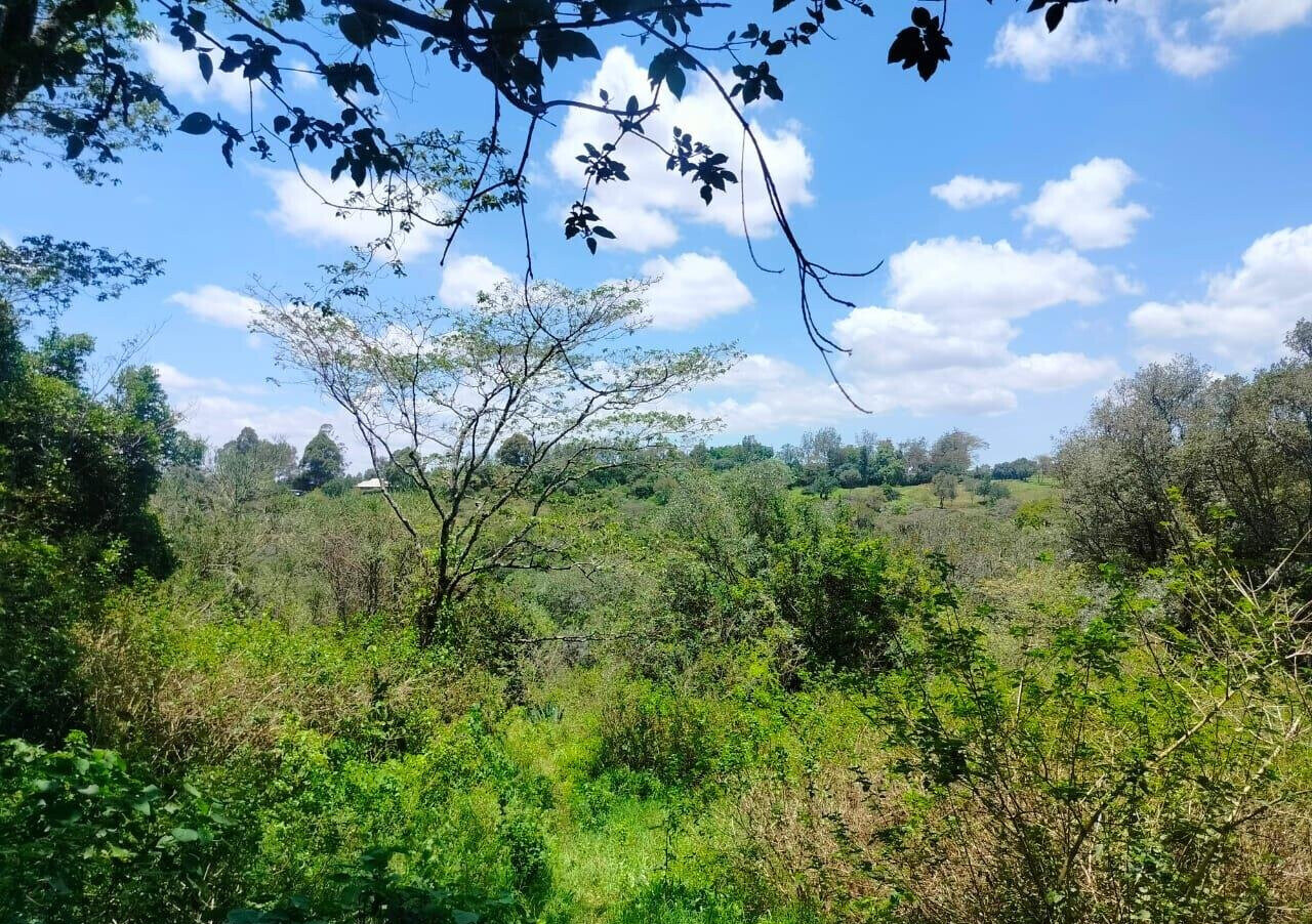 Half Acre Plot in Karen at KSh 35M