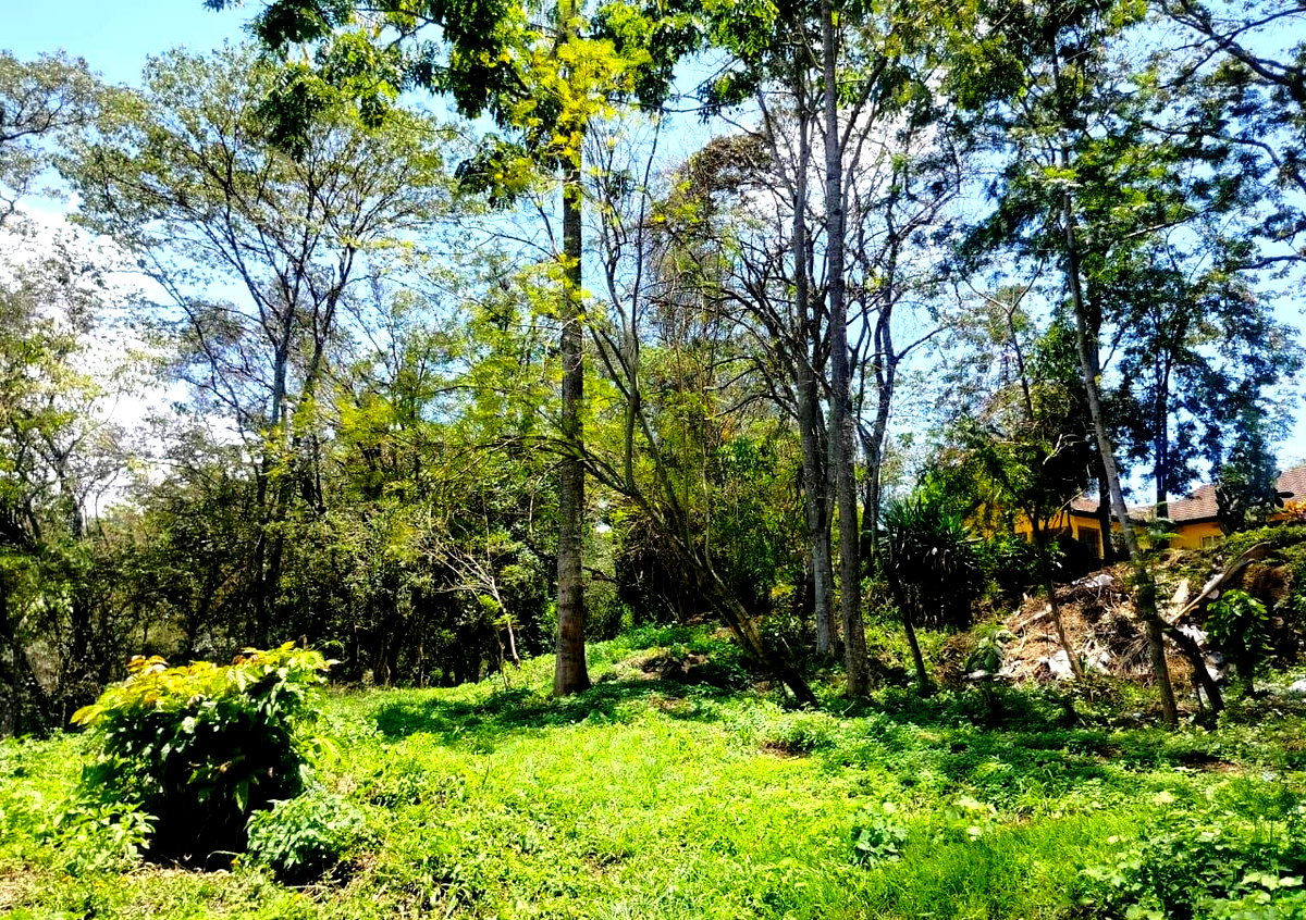 Half Acre Plot in Karen at KSh 35M