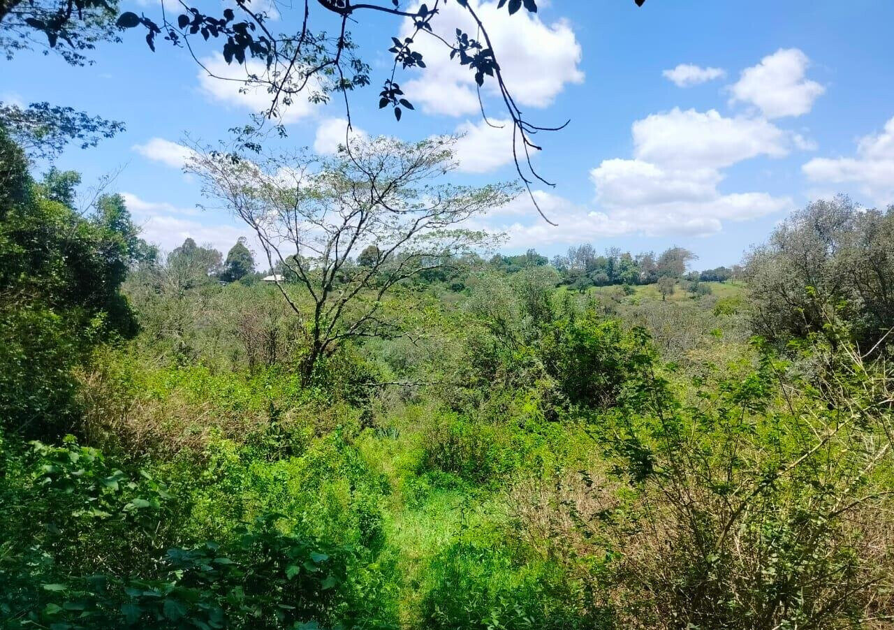 Half Acre Plot in Karen at KSh 35M