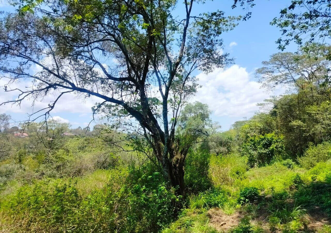 Half Acre Plot in Karen at KSh 35M