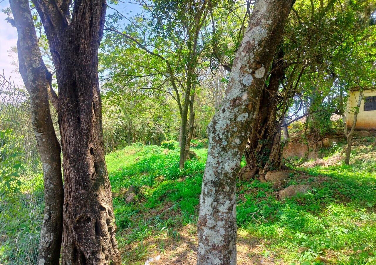 Half Acre Plot in Karen at KSh 35M