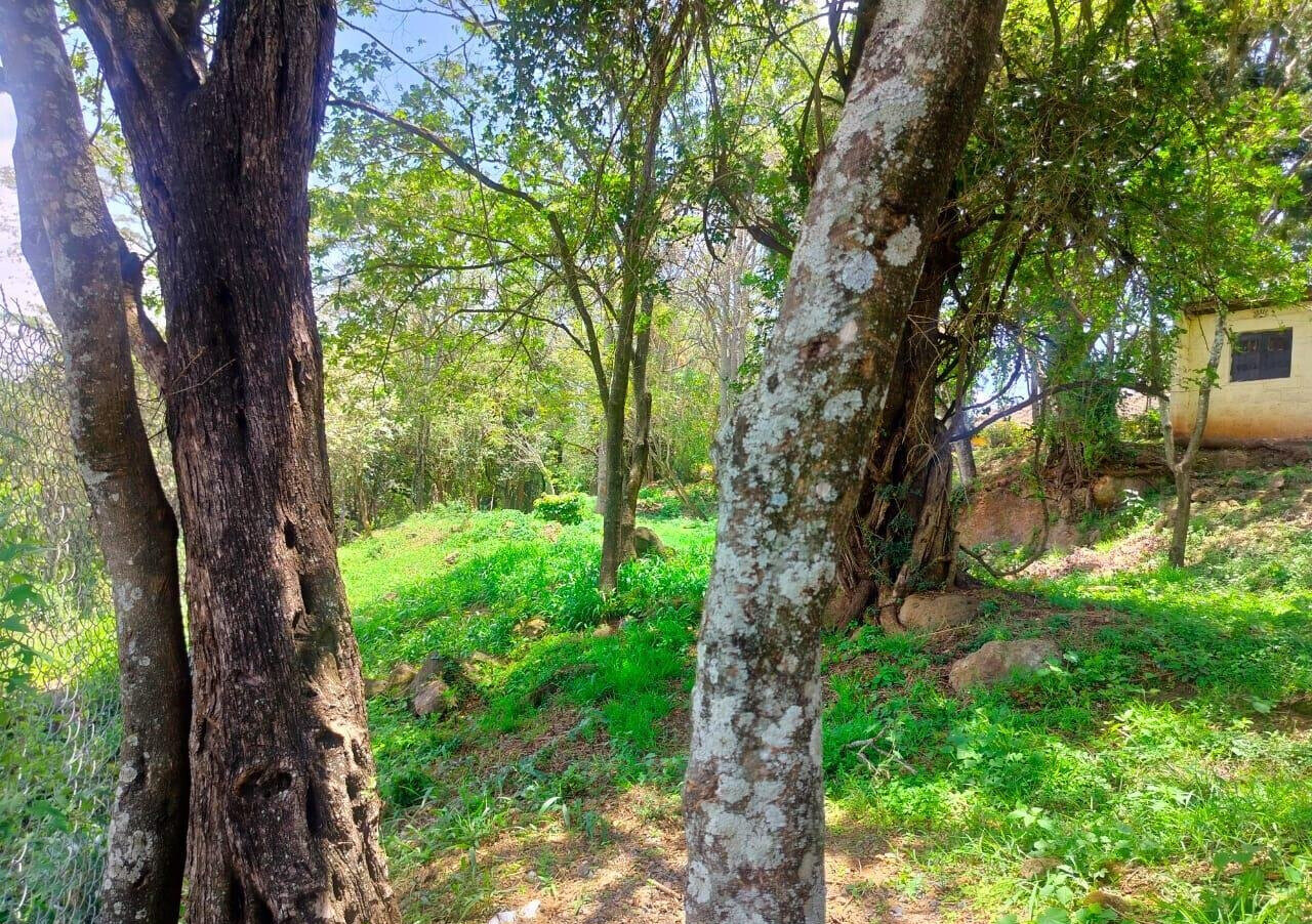 Half Acre Plot in Karen at KSh 35M