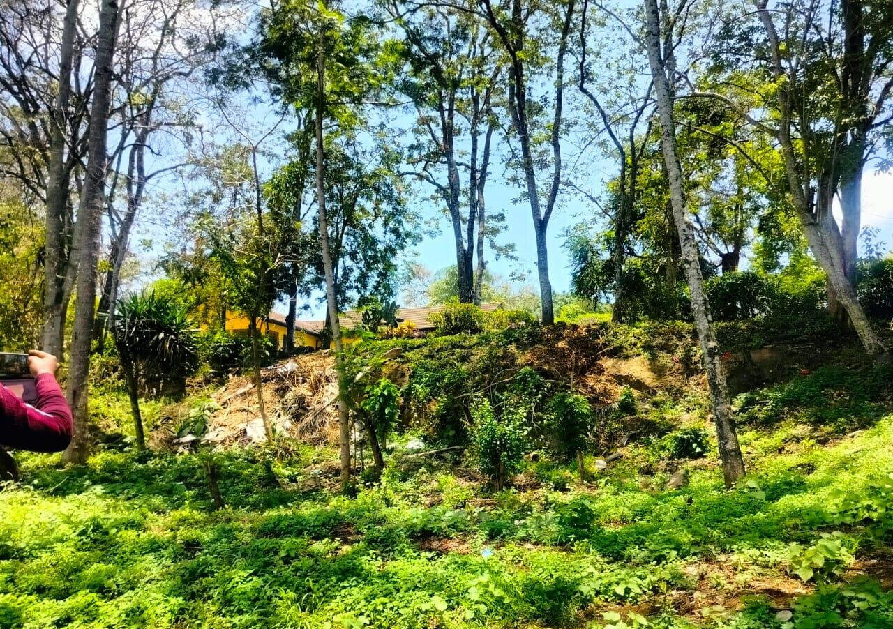 Half Acre Plot in Karen at KSh 35M