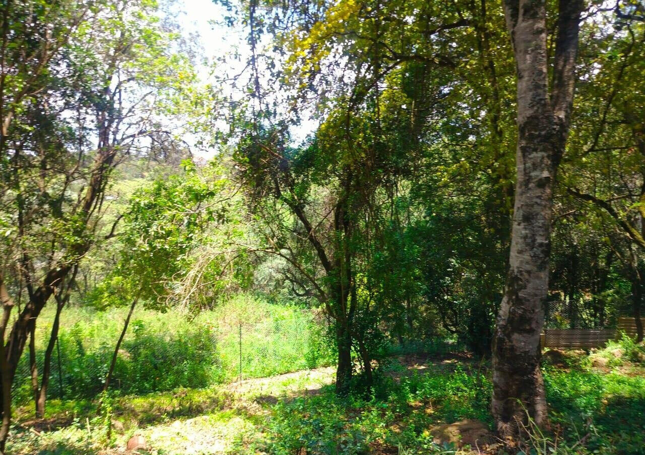Half Acre Plot in Karen at KSh 35M