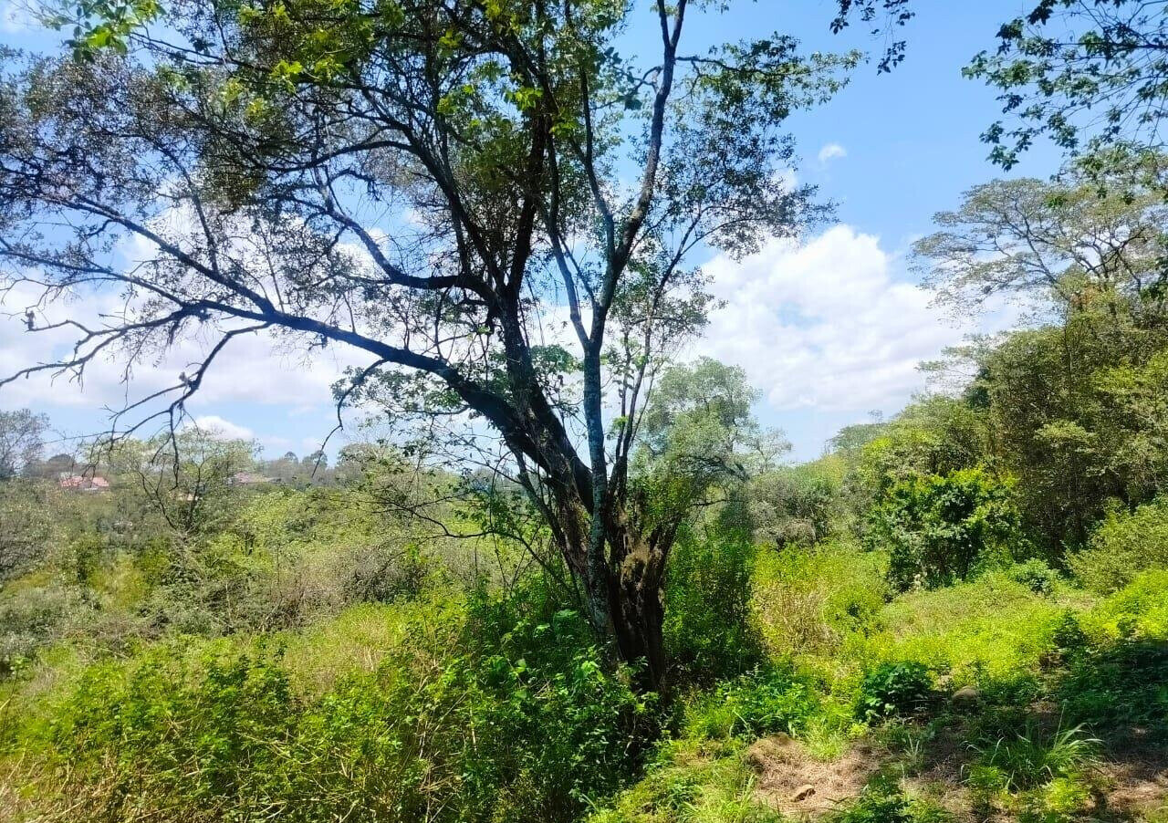 Half Acre Plot in Karen at KSh 35M