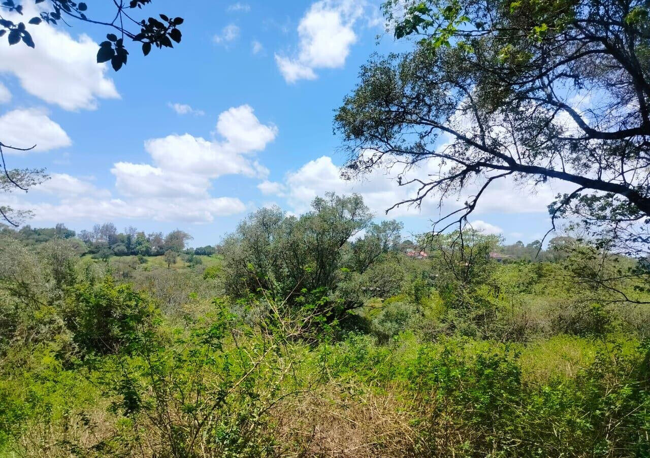 Half Acre Plot in Karen at KSh 35M