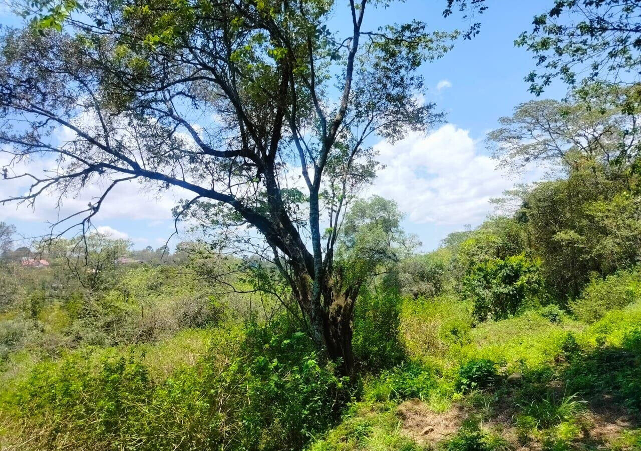 Half Acre Plot in Karen at KSh 35M