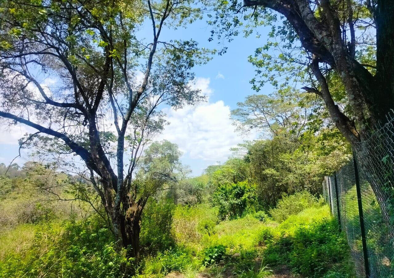 Half Acre Plot in Karen at KSh 35M