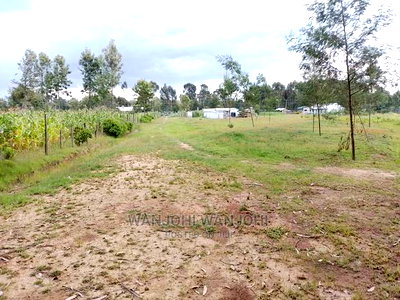 Prime Plots in the Land of Milk and Honey - Image 3