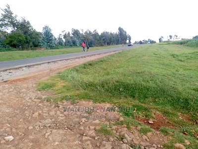 Prime Plots in the Land of Milk and Honey - Image 7