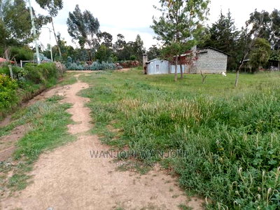 Prime Plots in the Land of Milk and Honey - Image 10