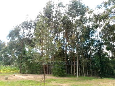 Prime Plots in the Land of Milk and Honey - Image 2