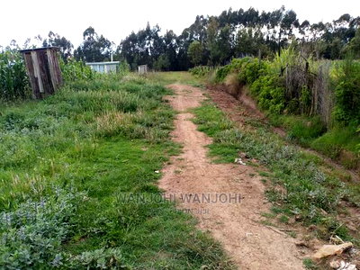 Prime Plots in the Land of Milk and Honey - Image 11