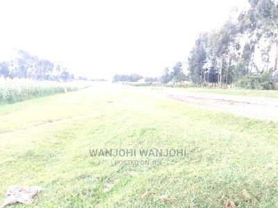 Prime Plots in the Land of Milk and Honey - Image 6