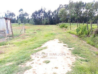 Prime Plots in the Land of Milk and Honey - Image 9