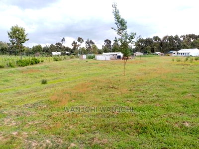 Prime Plots in the Land of Milk and Honey - Image 1