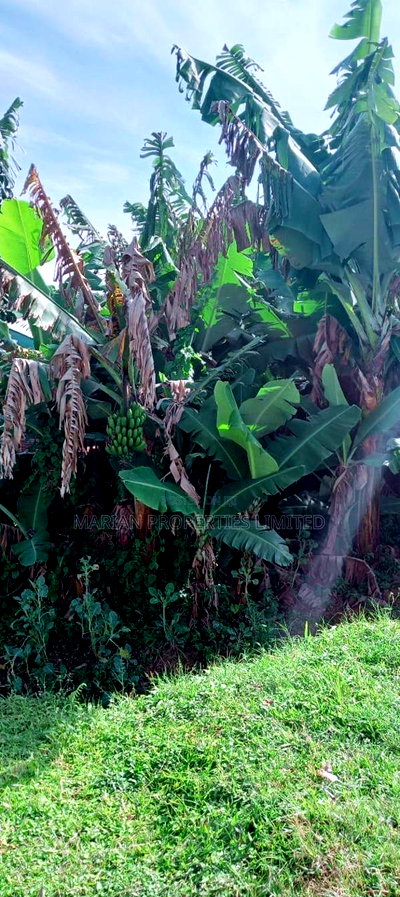 3bdrm Bungalow in Koromatangi, Sheywe for sale - Image 6