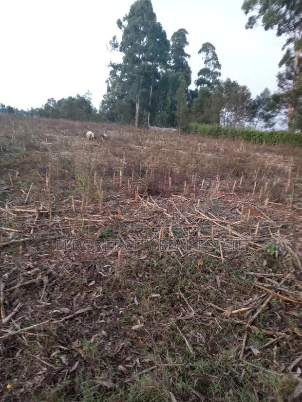 5 Acres Merewet With Title of Five.