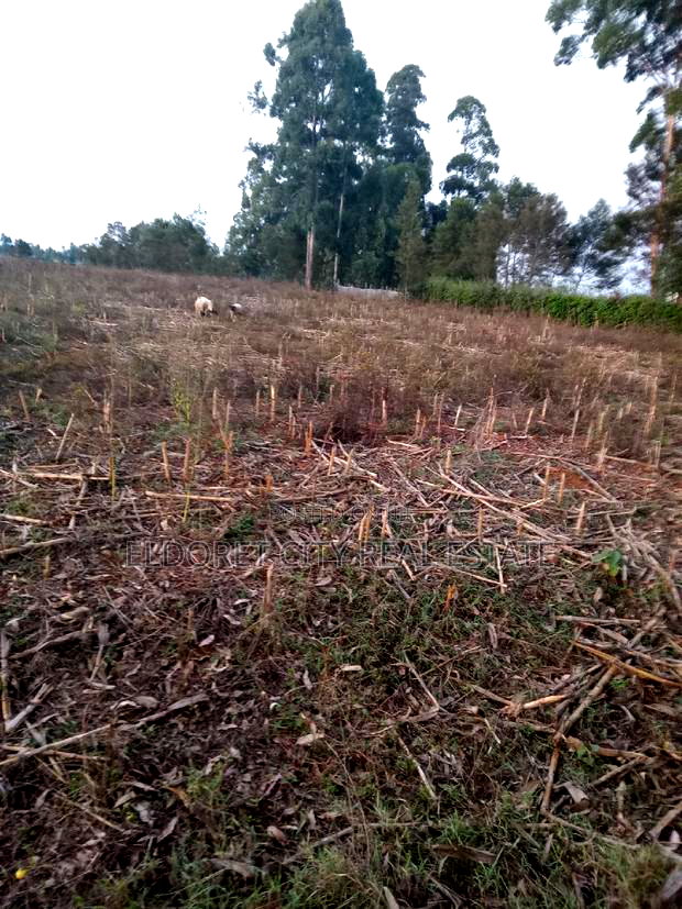 5 Acres Merewet With Title of Five.