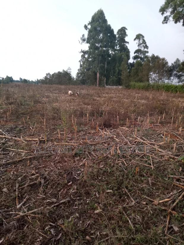 5 Acres Merewet With Title of Five.