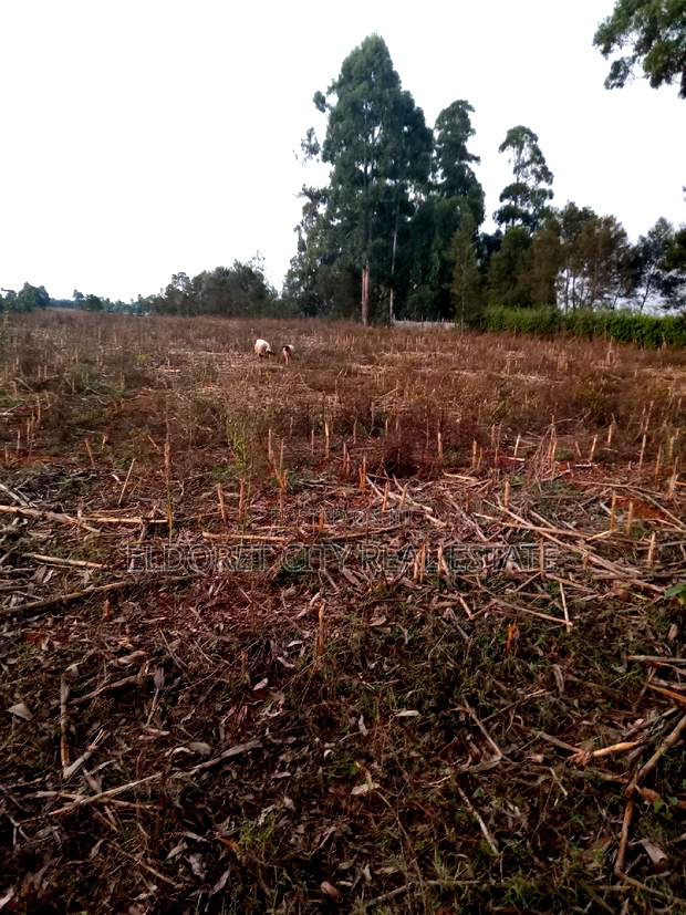 5 Acres Merewet With Title of Five.