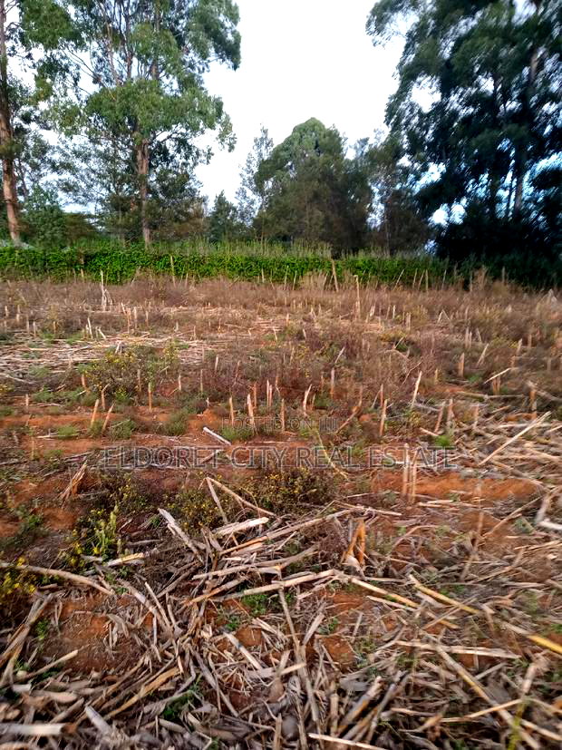 5 Acres Merewet With Title of Five.