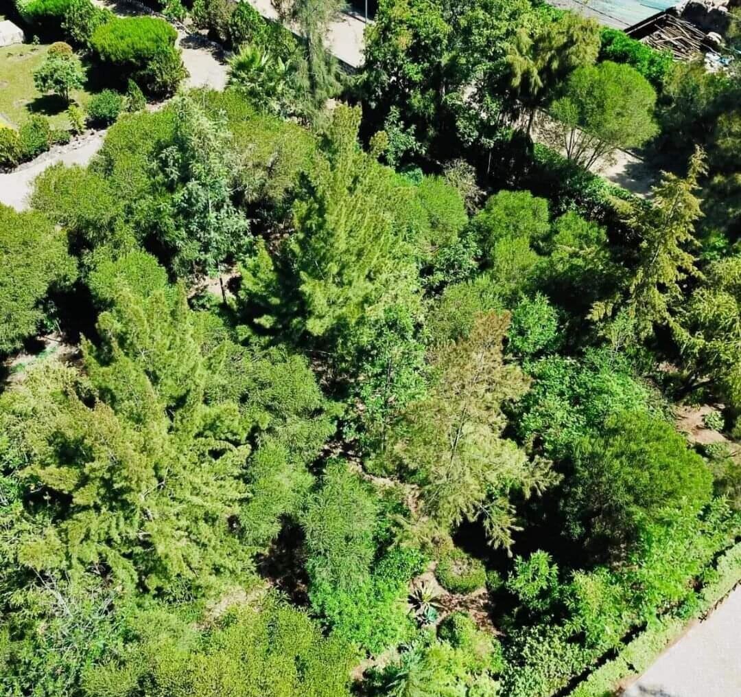 1-Acre Garden Townhouse with DSQ & Study – Karen
