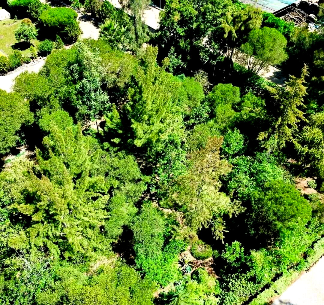 1-Acre Garden Townhouse with DSQ & Study – Karen