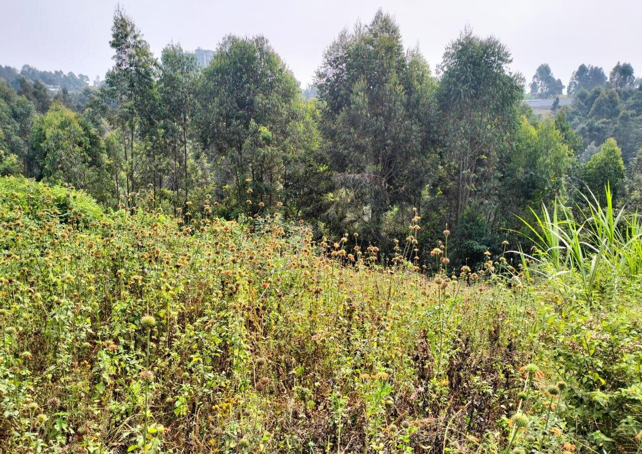 50x100 Plot in Lower Kabete