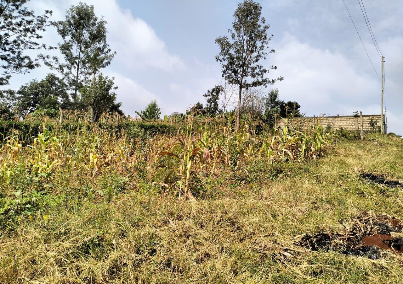 50x100 Plot in Lower Kabete