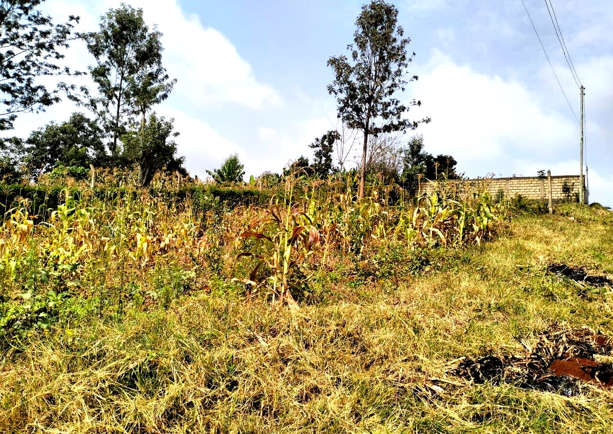 50x100 Plot in Lower Kabete