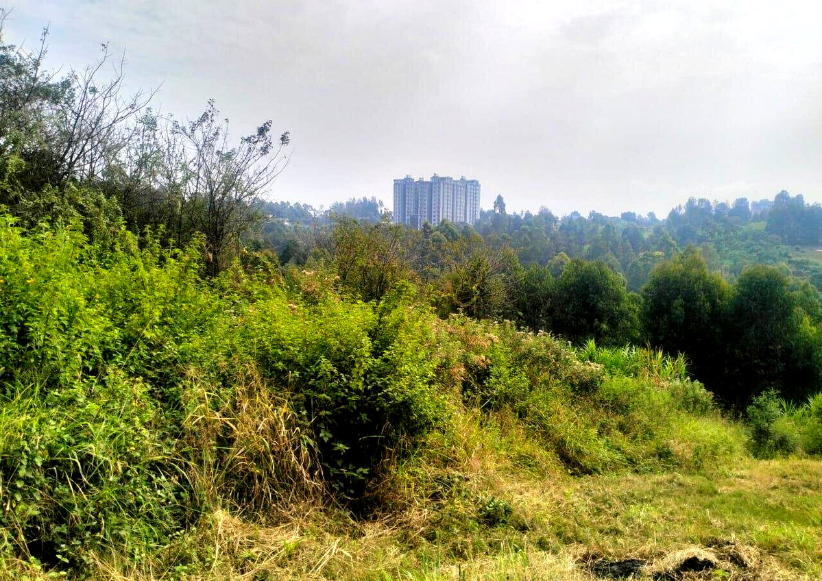 50x100 Plot in Lower Kabete