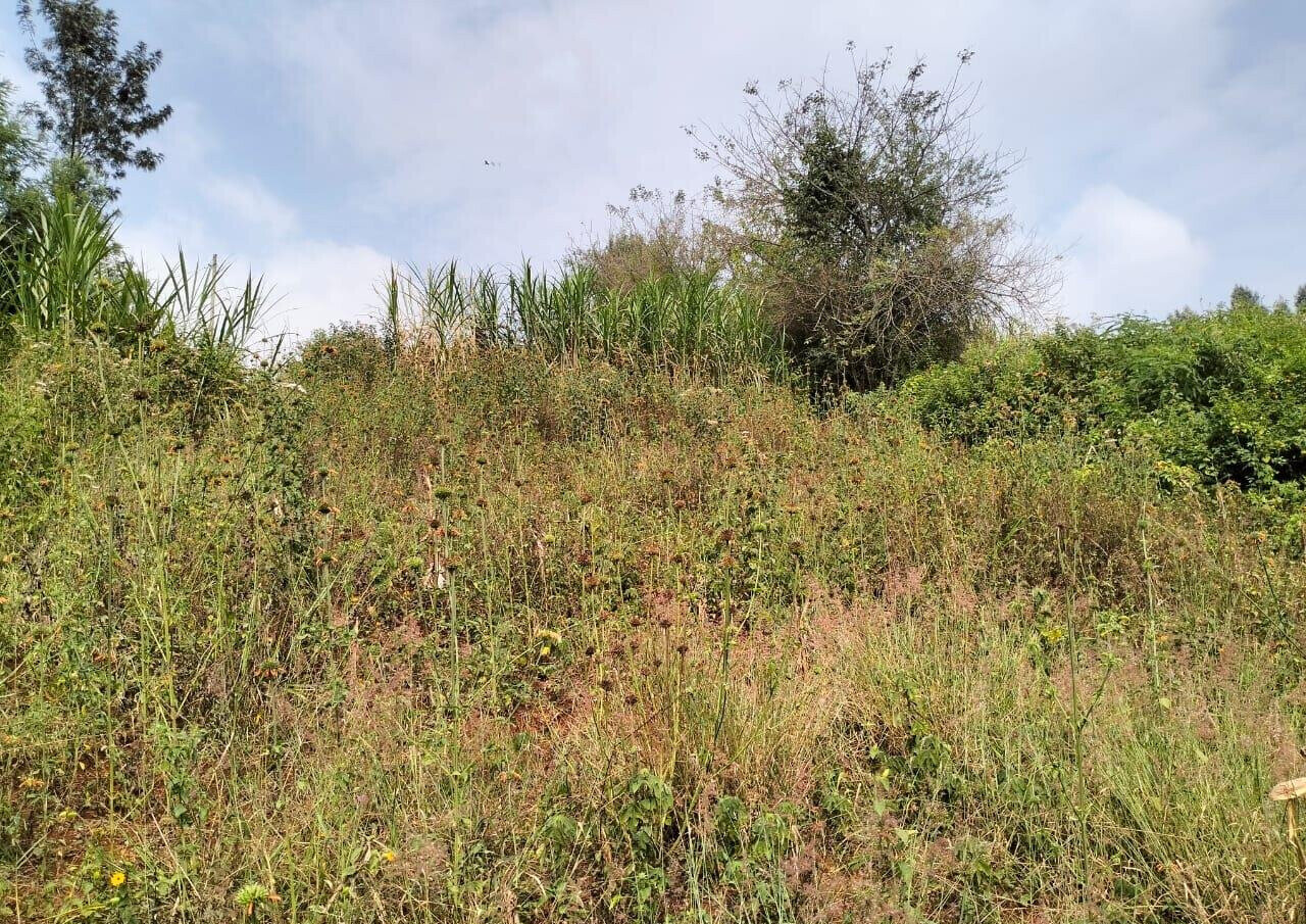 50x100 Plot in Lower Kabete