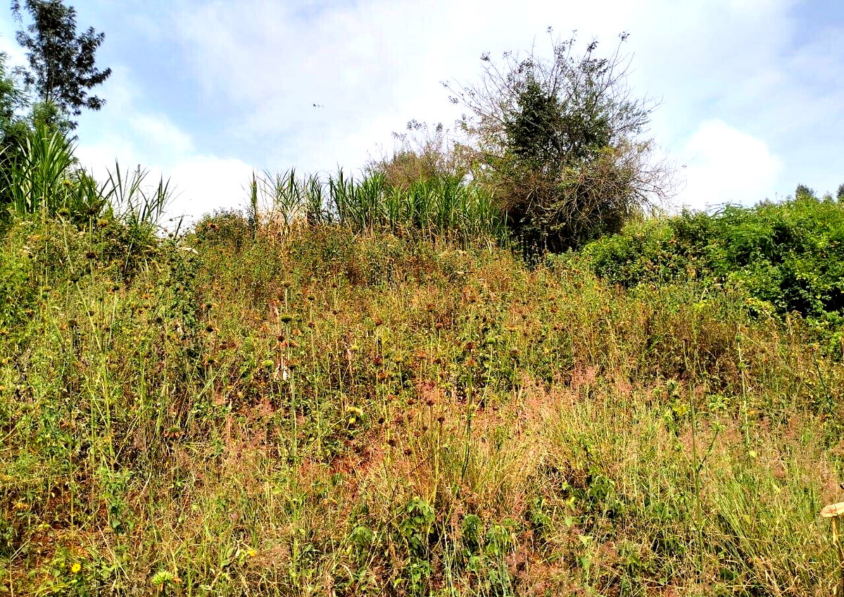50x100 Plot in Lower Kabete