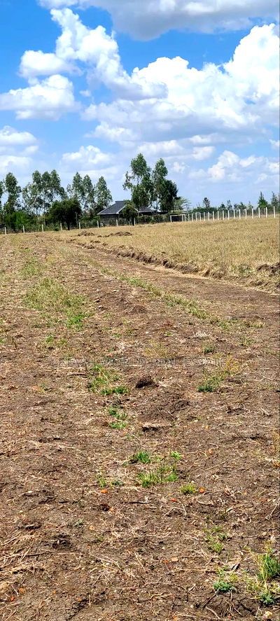 Plots in Kitengela 50 by 100, 500mtrs Off Tarmac. - Image 4