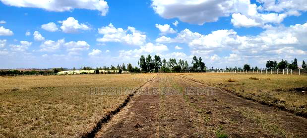 Plots in Kitengela 50 by 100, 500mtrs Off Tarmac.