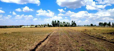 Plots in Kitengela 50 by 100, 500mtrs Off Tarmac. - Image 3
