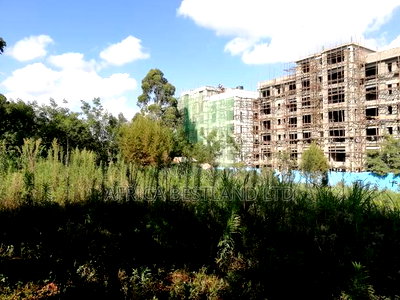 65x100 Plot for Sale in Kikuyu Thogoto - Image 4