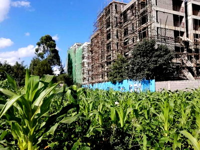 65x100 Plot for Sale in Kikuyu Thogoto - Image 1